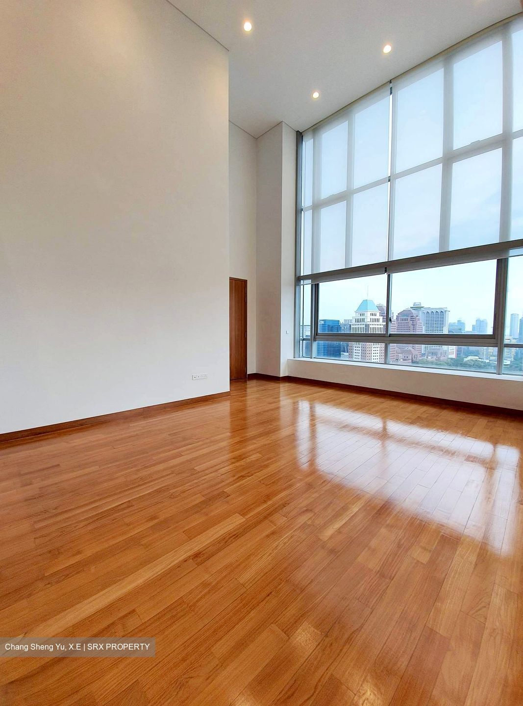 Skyline @ Orchard Boulevard (D9), Apartment #410725661